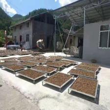 白術烘干房